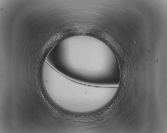 X0000086330685200703300931