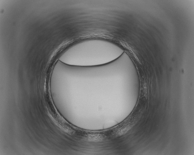 X0000086330686200703300931