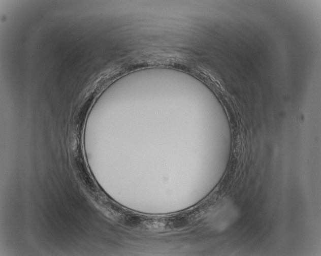 X0000086330687200703300931