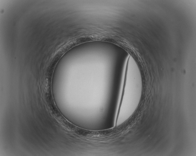 X0000086330689200703300931