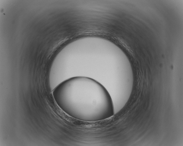 X0000086330692200703300931