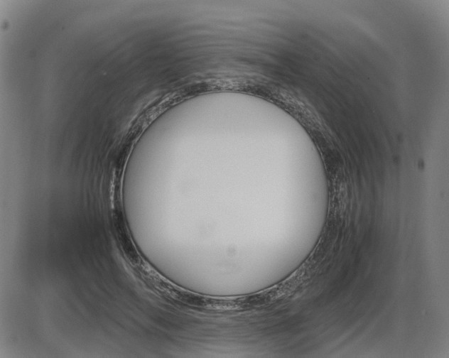X0000086330694200703300931