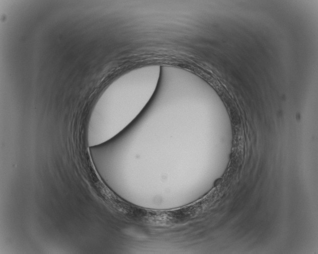 X0000086330695200703300931
