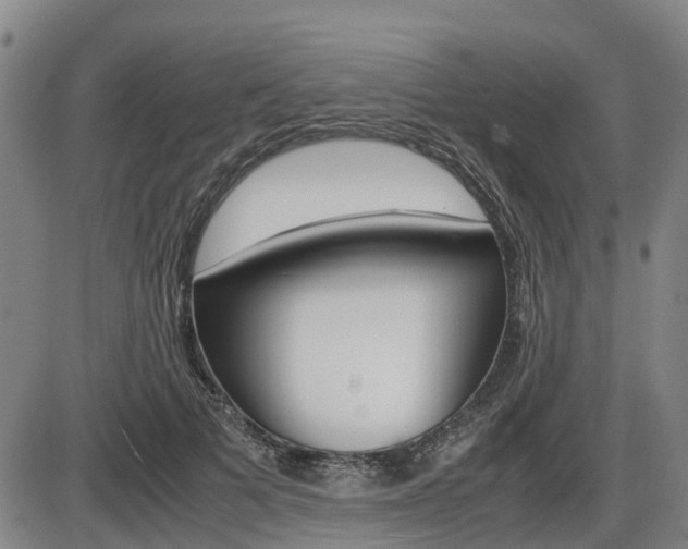 X0000086330697200703300931