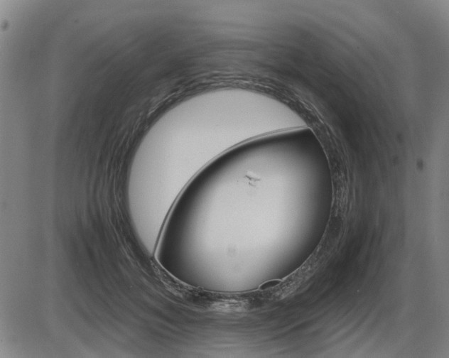 X0000086330700200703300931