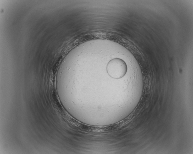 X0000086330702200703300931