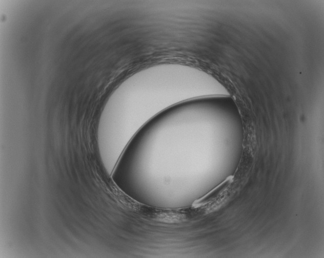 X0000086330708200703300931