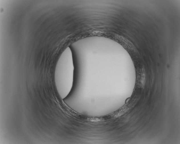 X0000086330710200703300931