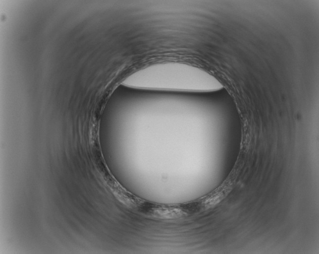 X0000086330712200703300931