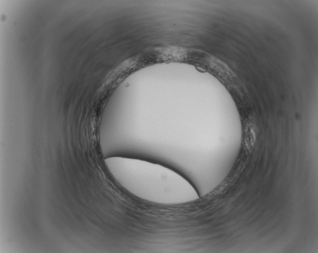 X0000086330714200703300931