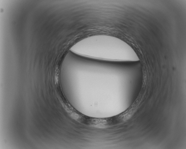 X0000086330719200703300931