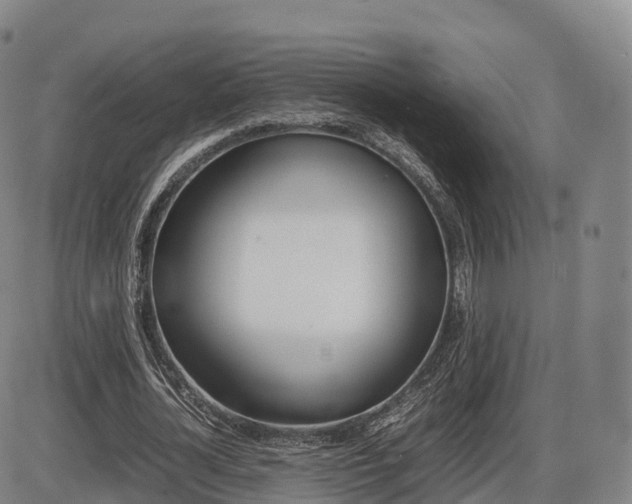 X0000086330724200703300930