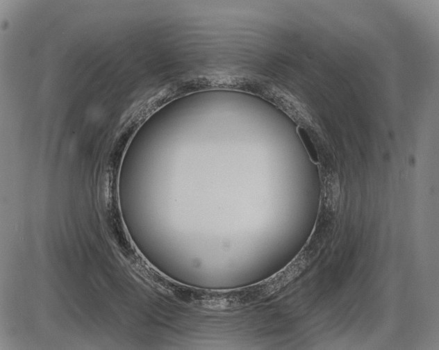 X0000086330740200703300930