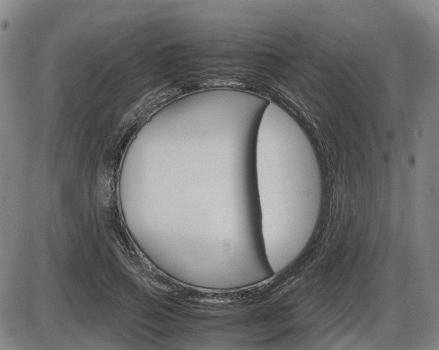 X0000086330741200703300930