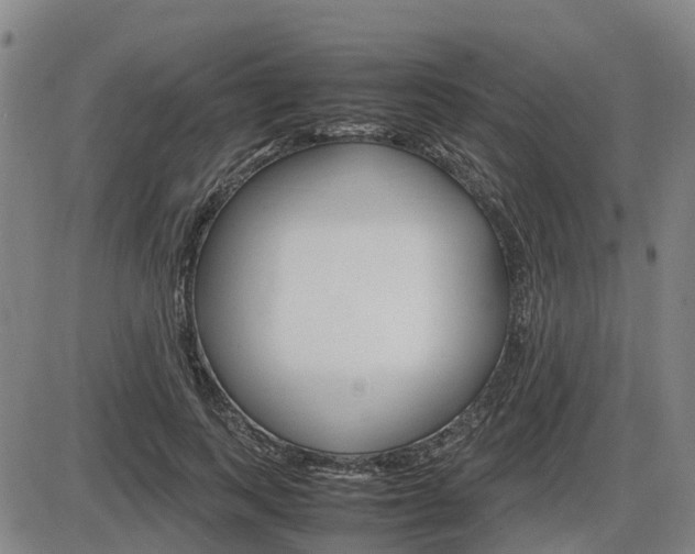 X0000086330743200703300930