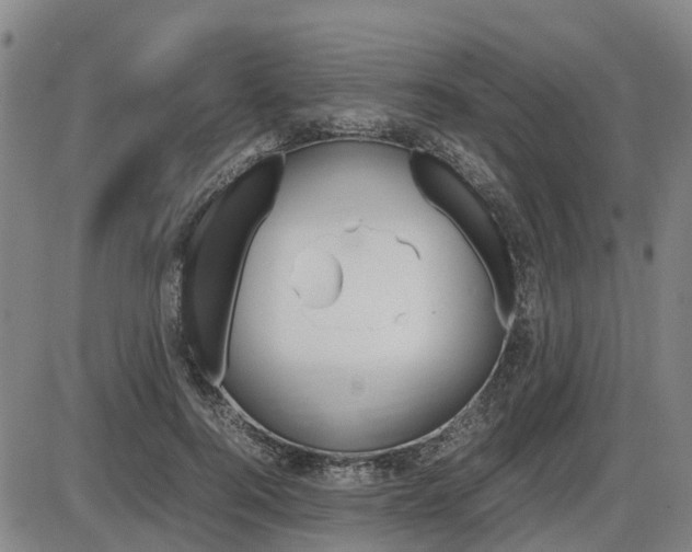 X0000086330744200703300930