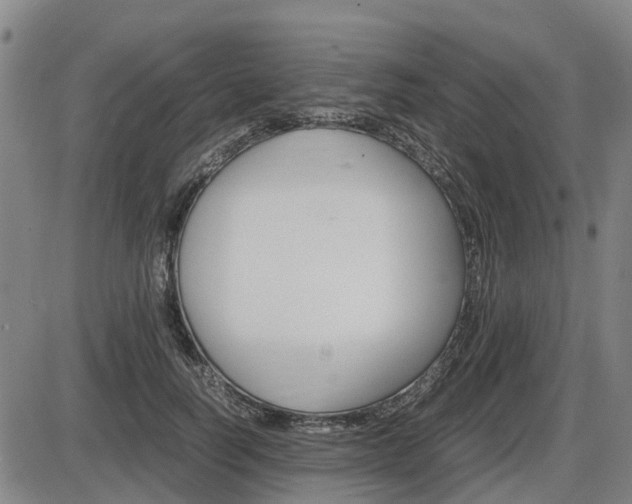 X0000086330746200703300930