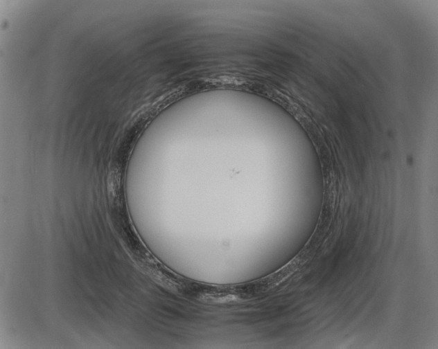 X0000086330747200703300930