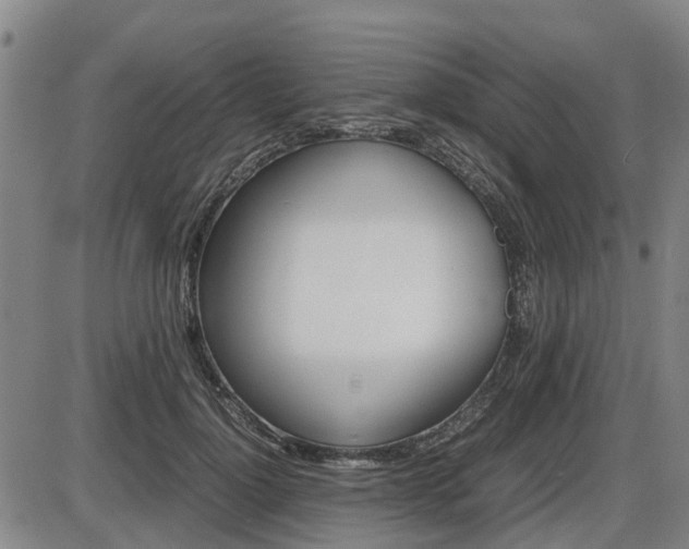 X0000086330748200703300930