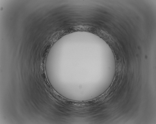 X0000086330749200703300930
