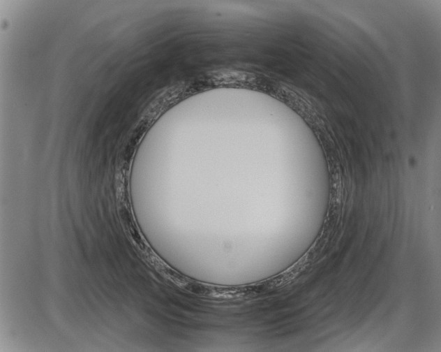 X0000086330753200703300930