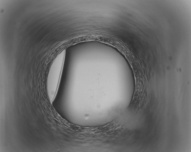 X0000086330773200703300930