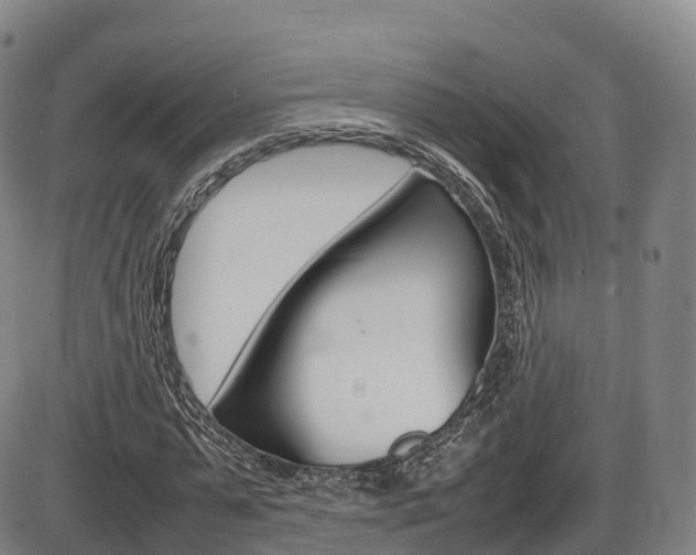 X0000086330775200703300930