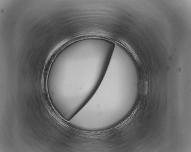 X0000086330780200703300930