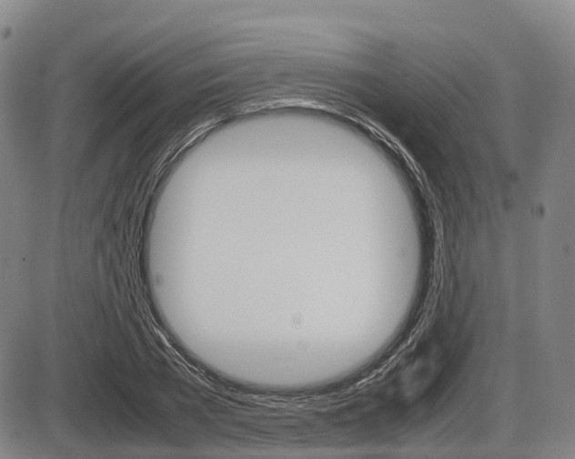 X0000086330785200703300930