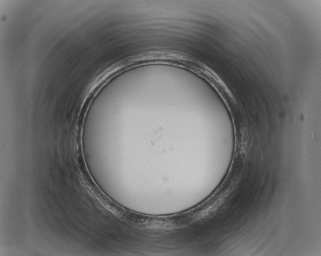 X0000086330786200703300930