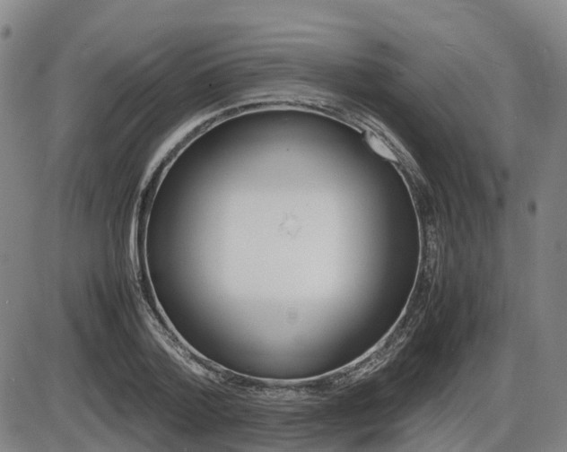 X0000086330788200703300930