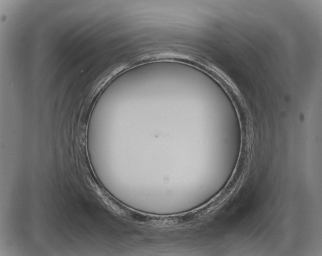 X0000086330793200703300929