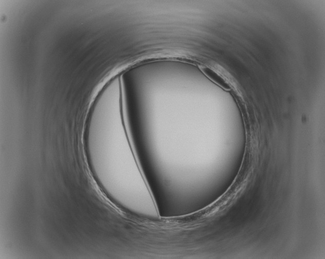 X0000086330797200703300929