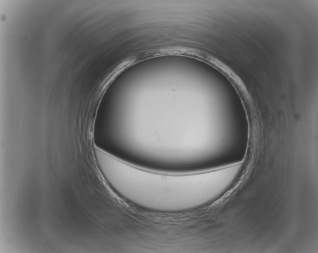 X0000086330809200703300929