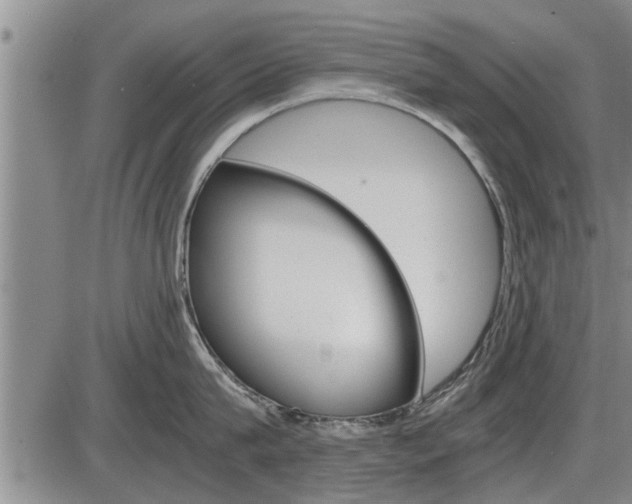 X0000086330815200703300929