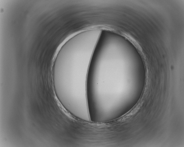 X0000086330816200703300929
