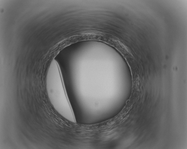 X0000086330821200703300928