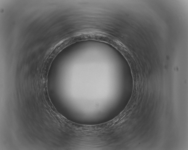 X0000086330822200703300928