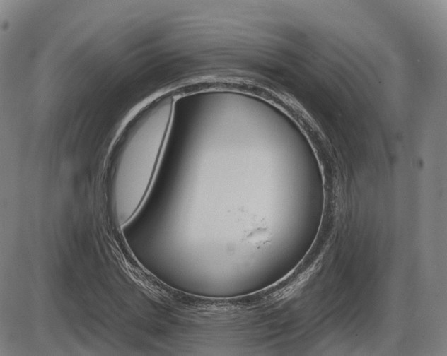 X0000086330830200703300928