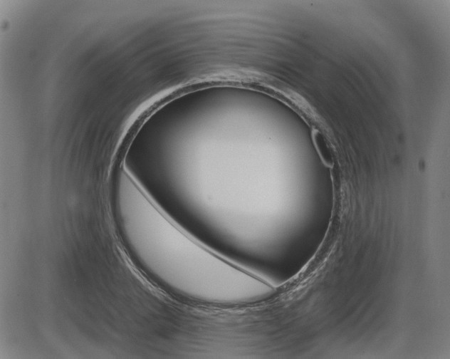 X0000086330838200703300929