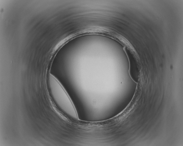 X0000086330842200703300929