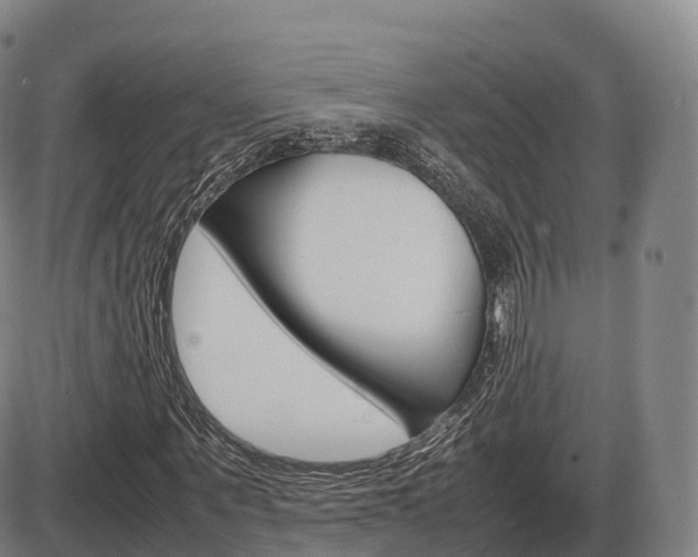 X0000086330867200703300928
