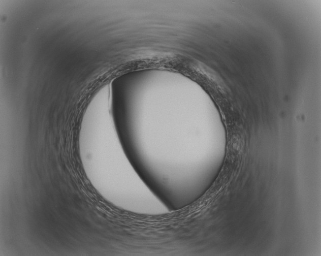 X0000086330869200703300928