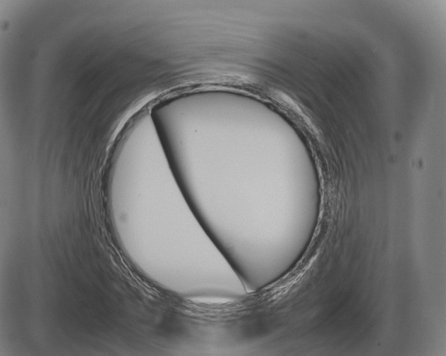 X0000086330875200703300928