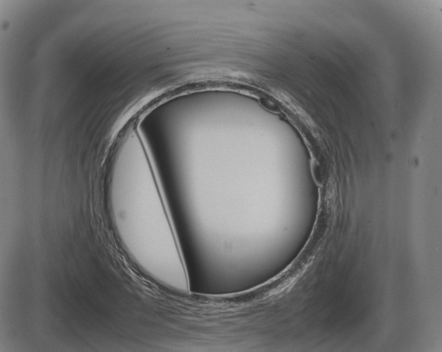 X0000086330877200703300928