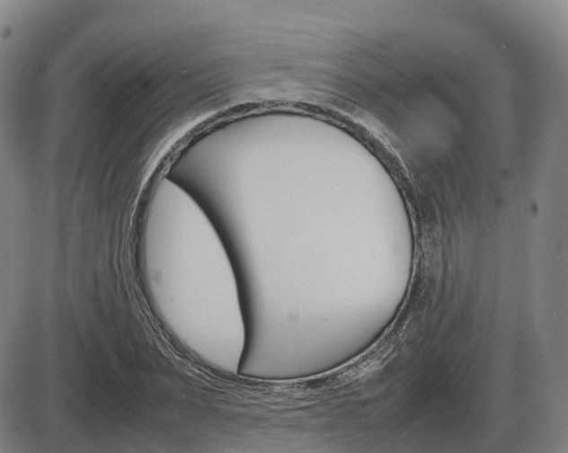 X0000086330879200703300928
