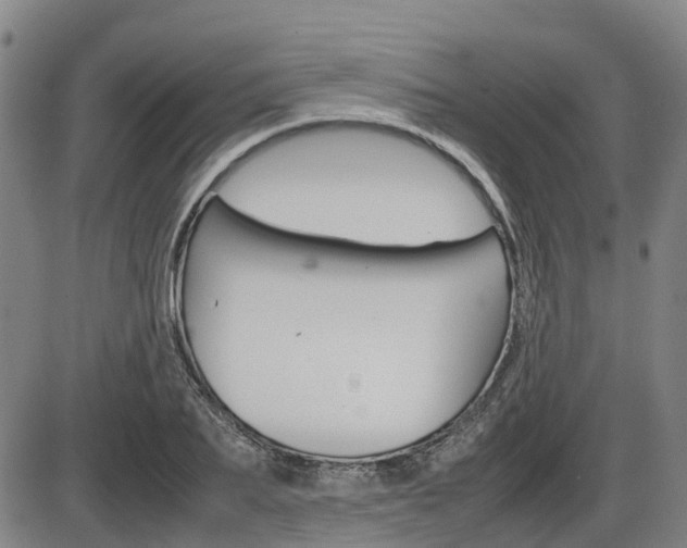 X0000086330887200703300928