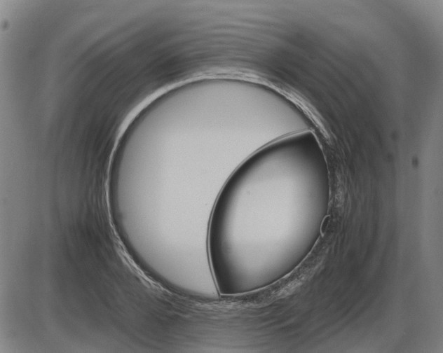 X0000086330888200703300928