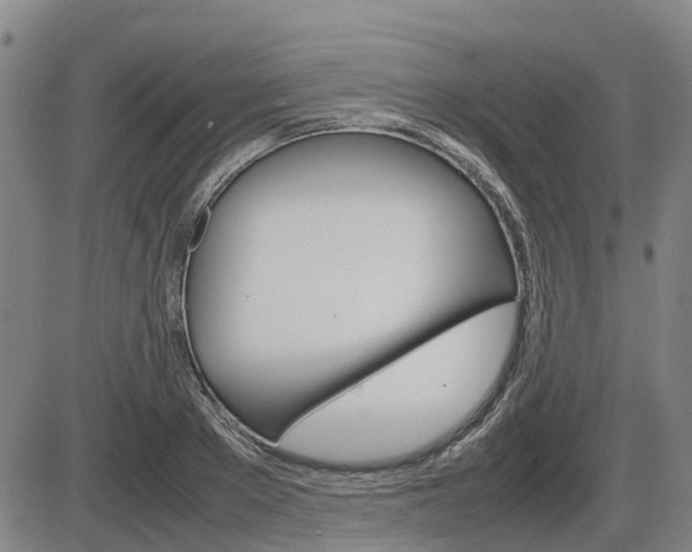 X0000086330889200703300928