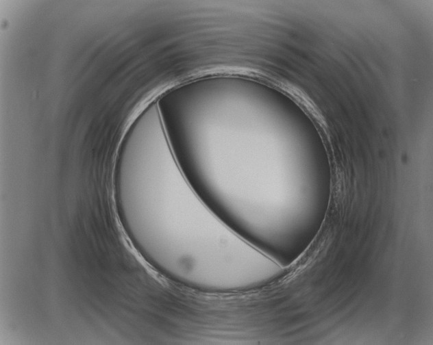 X0000086330898200703300928